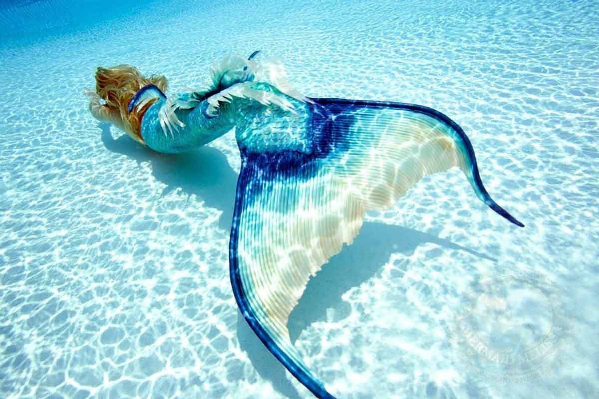 Real Life Mermaids