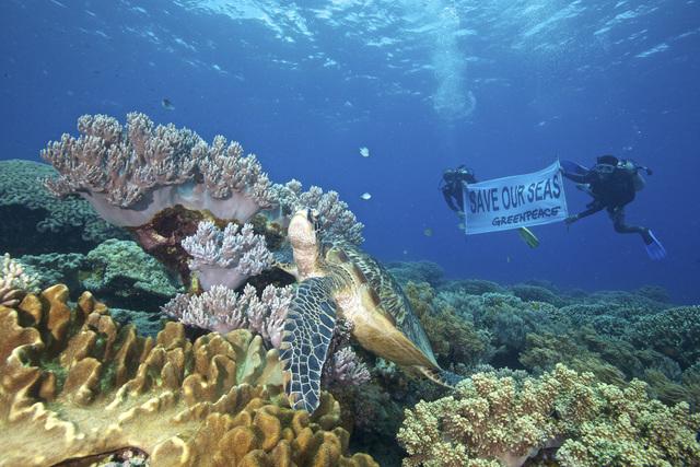 Planet Mermaid Supports “Friends of the Ocean”